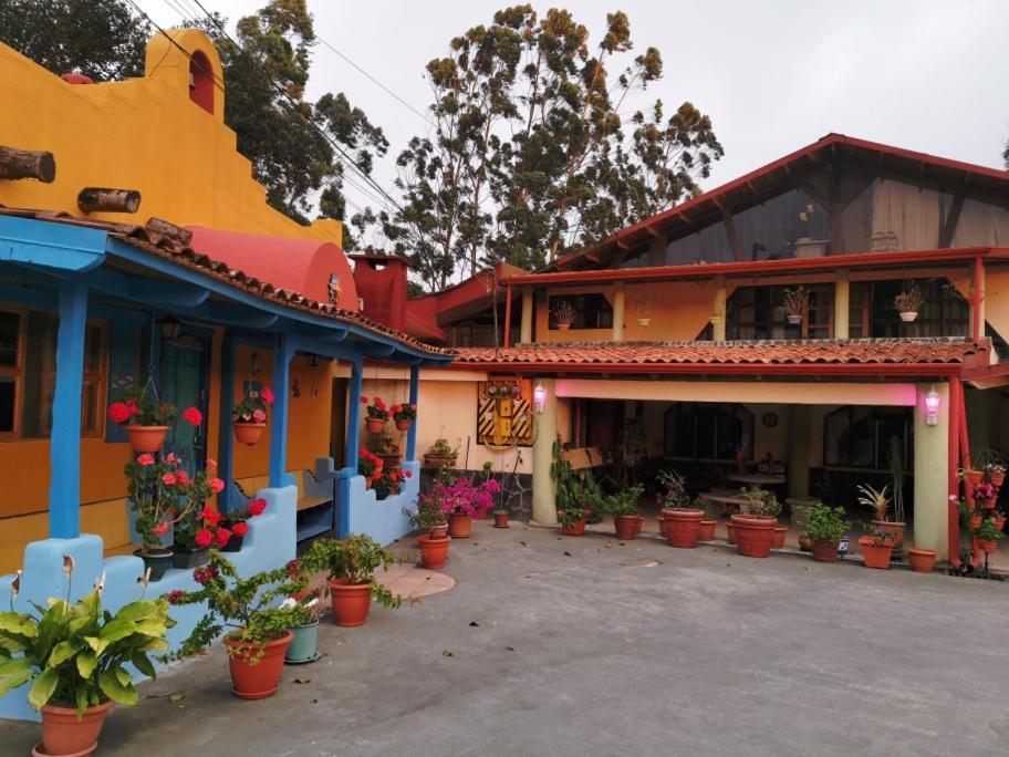 Lodge Mountain Chetica San Jeronimo (Heredia)